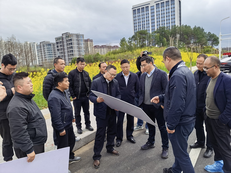3月19人，县长王奇勇调研富丰新城片区项目1_副本.jpg